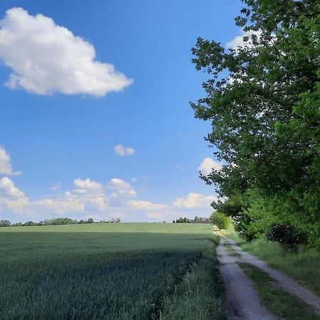 Vierseitenhof Hasenfelde - Ferienwohnung Feldblick Steinhofel ภายนอก รูปภาพ