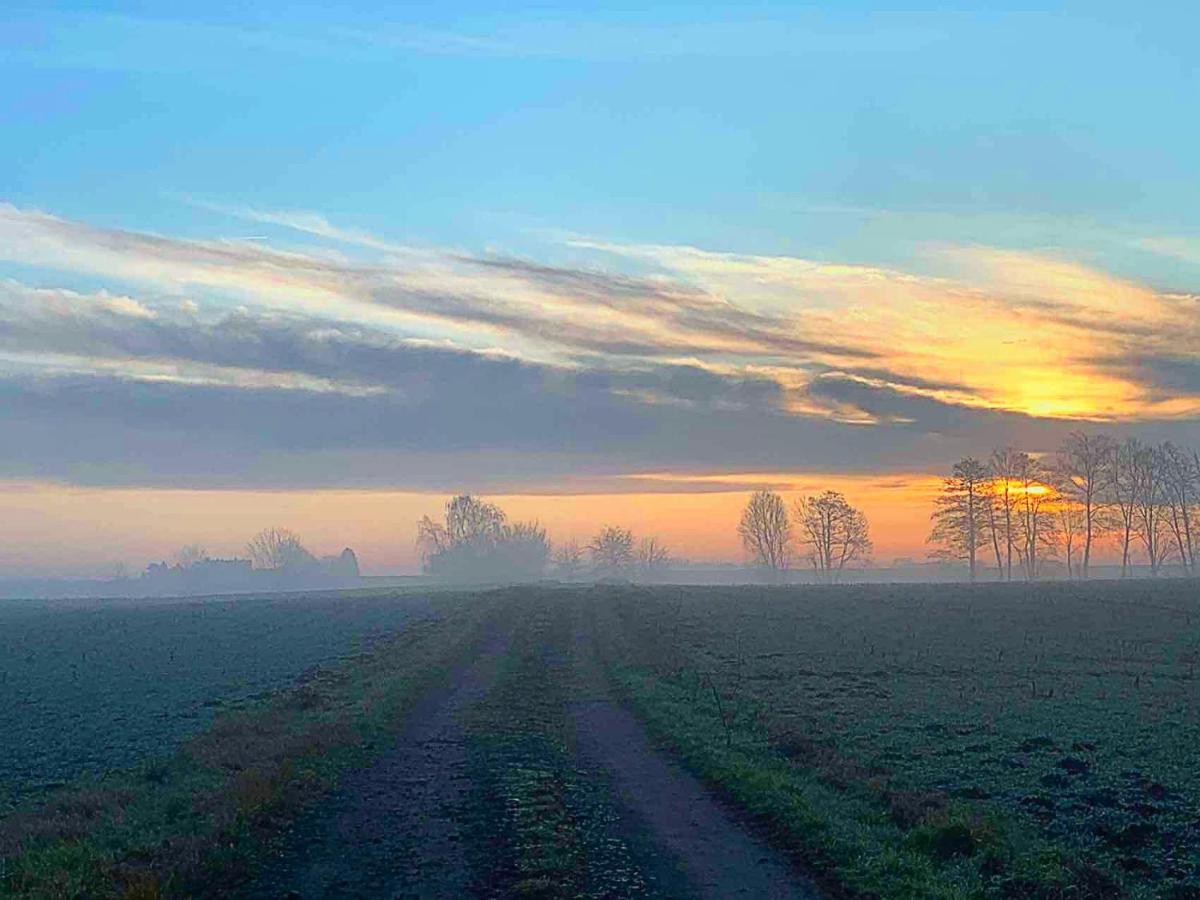 Vierseitenhof Hasenfelde - Ferienwohnung Feldblick Steinhofel ภายนอก รูปภาพ