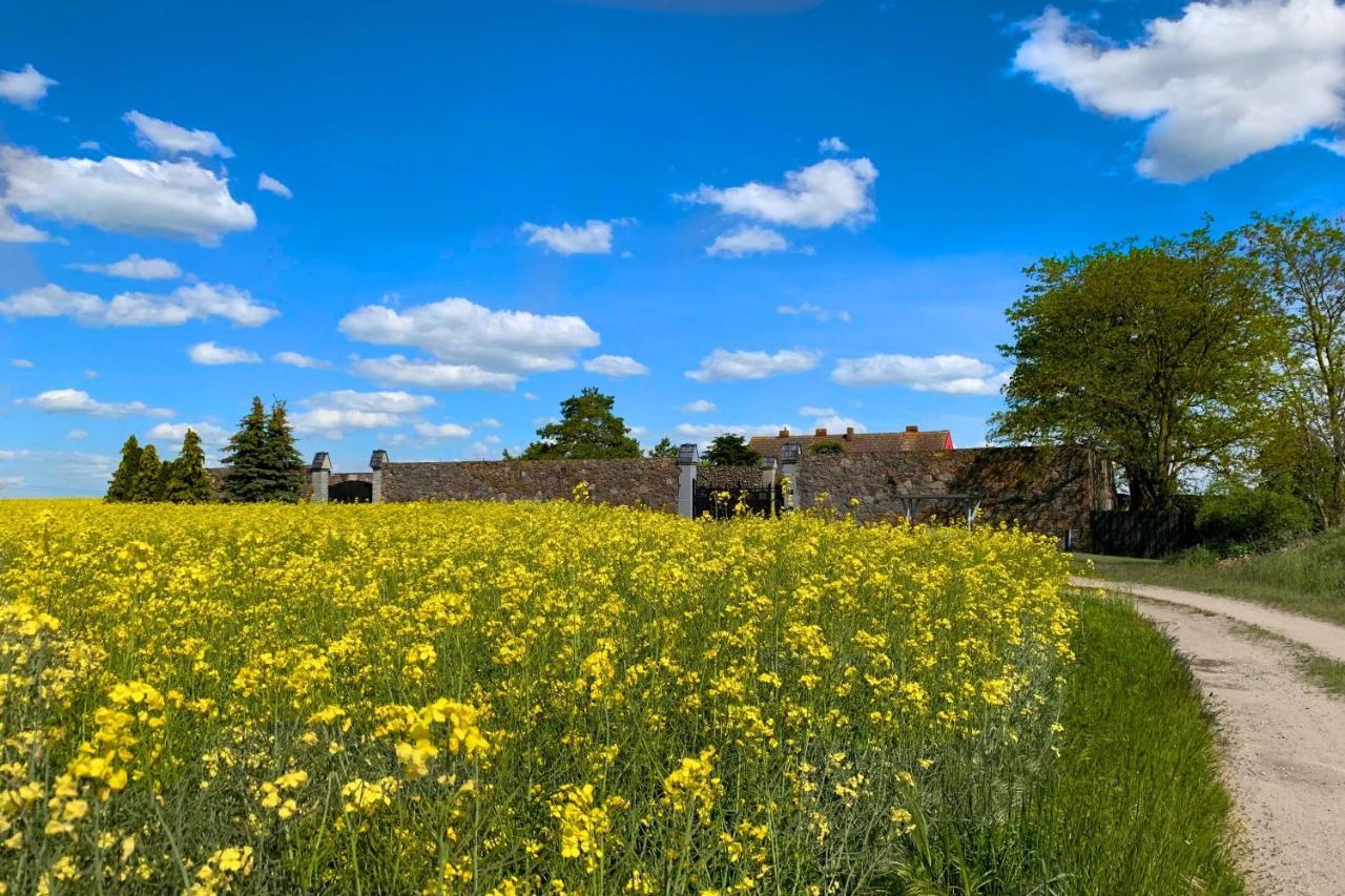 Vierseitenhof Hasenfelde - Ferienwohnung Feldblick Steinhofel ภายนอก รูปภาพ