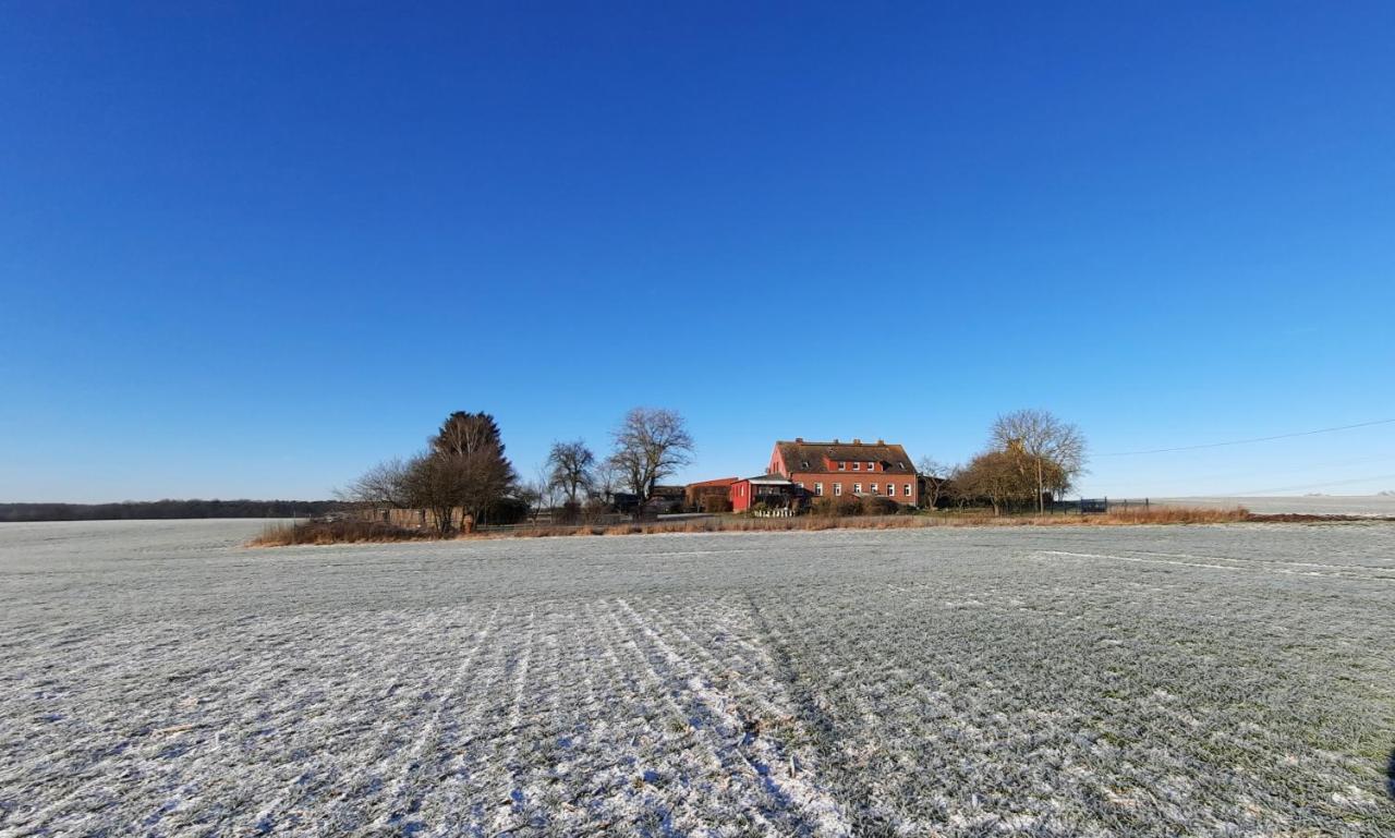 Vierseitenhof Hasenfelde - Ferienwohnung Feldblick Steinhofel ภายนอก รูปภาพ
