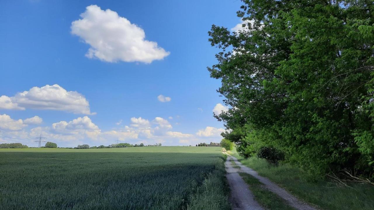 Vierseitenhof Hasenfelde - Ferienwohnung Feldblick Steinhofel ภายนอก รูปภาพ